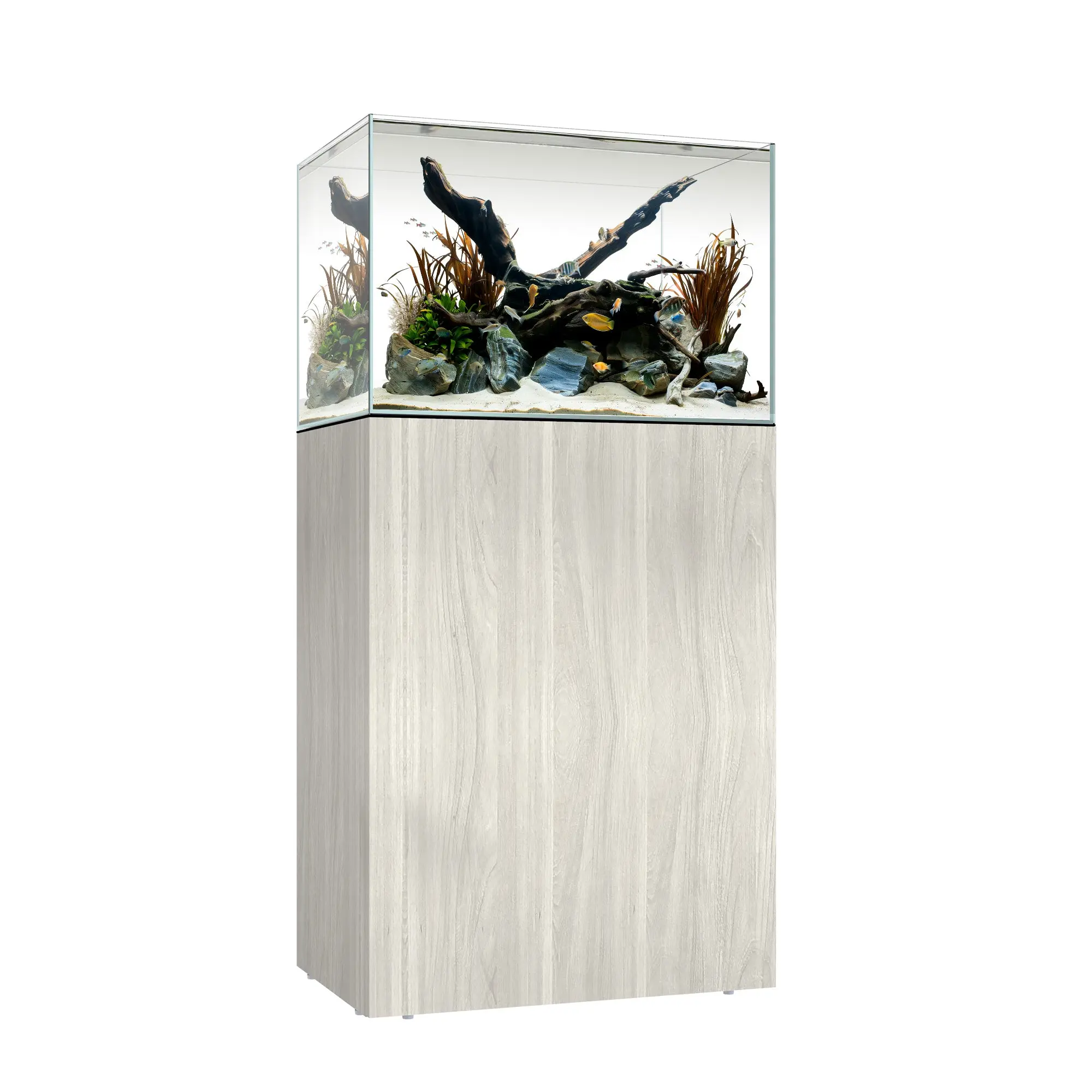 CLEAR MINI 25 - Image 4