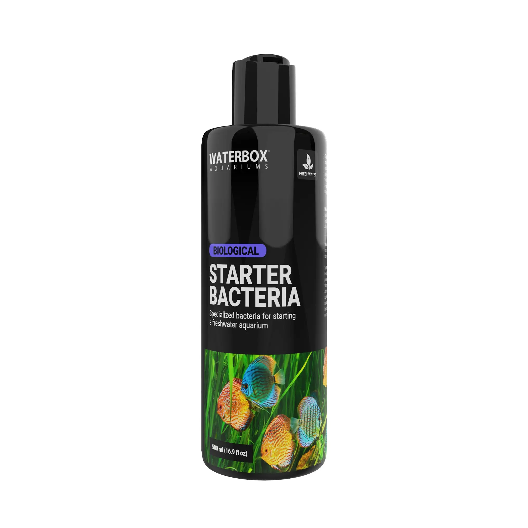 Freshwater Starter Bacteria