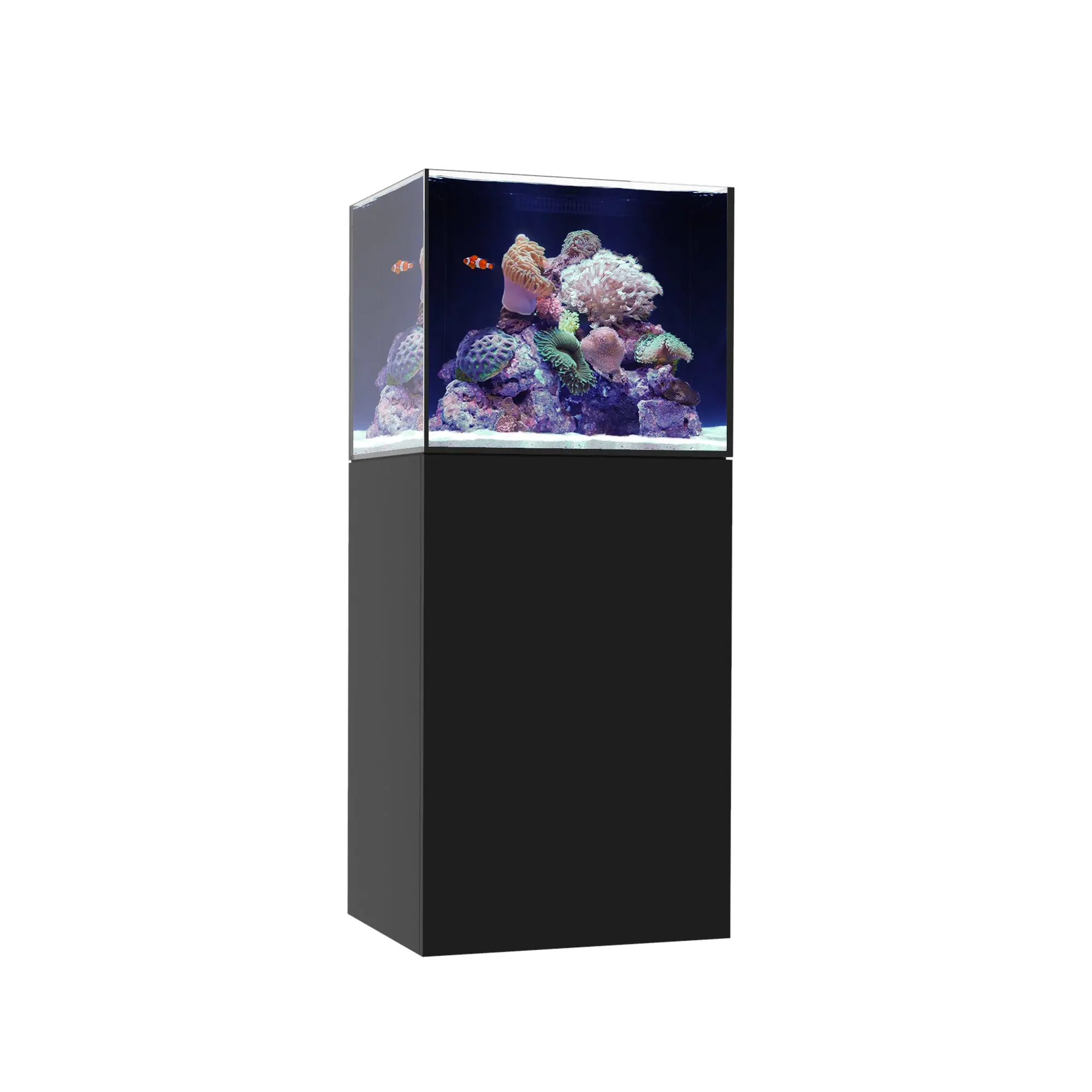 MARINE X 60.2 - Image 2