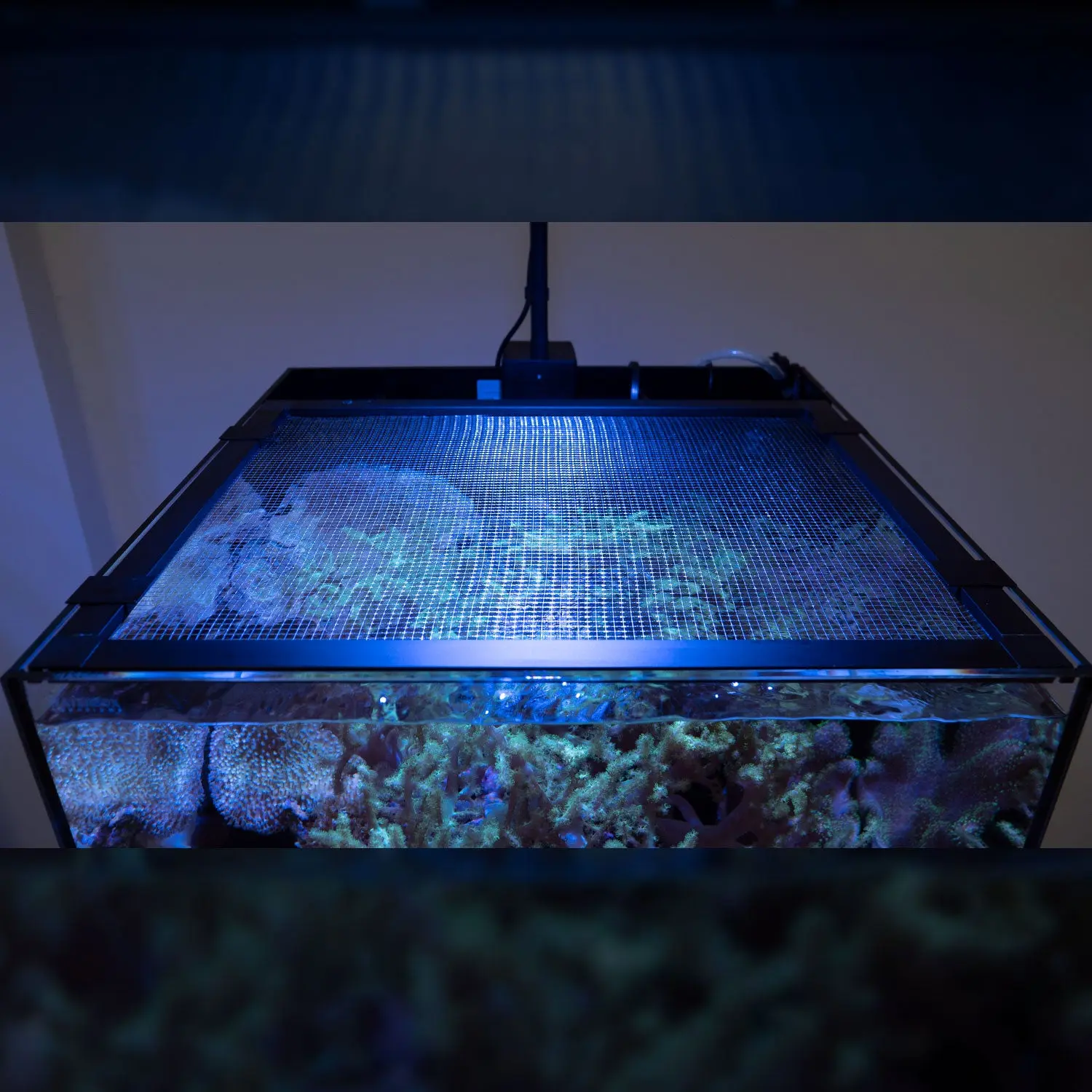 Mesh Lid System - Image 4