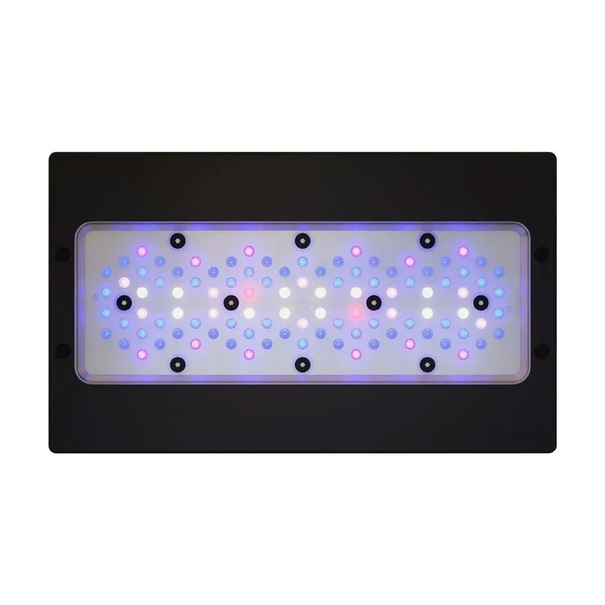 Radion XR30 G6 Blue - Image 2