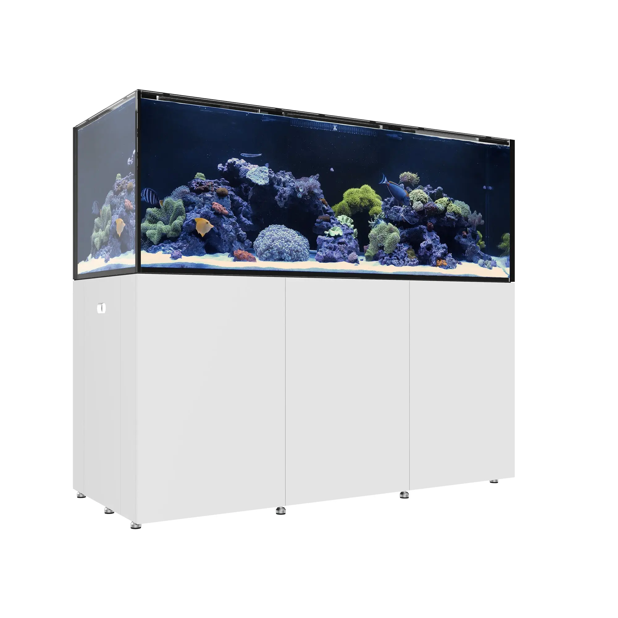 REEF LX 290.6