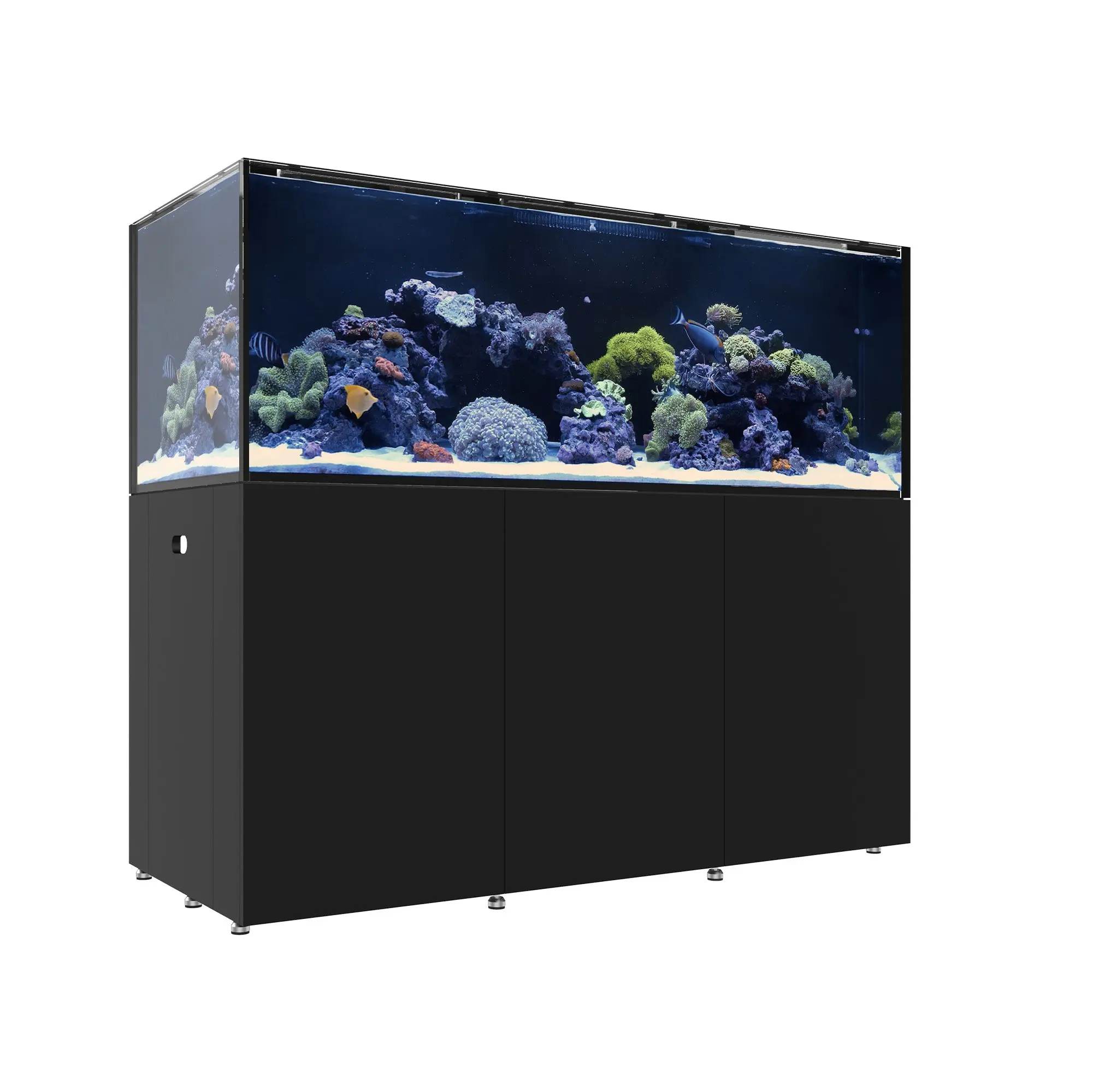 REEF LX 290.6 - Image 2