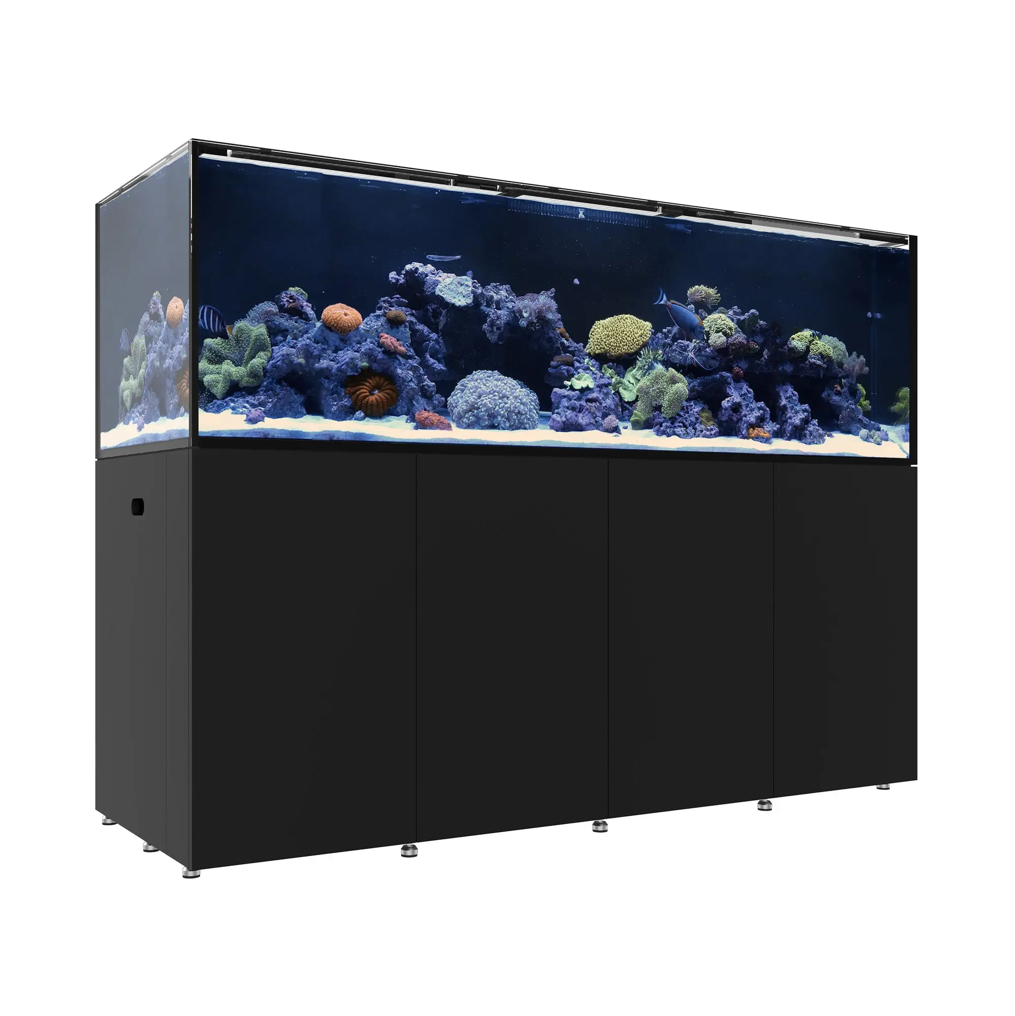 REEF LX 330.7 - Image 2