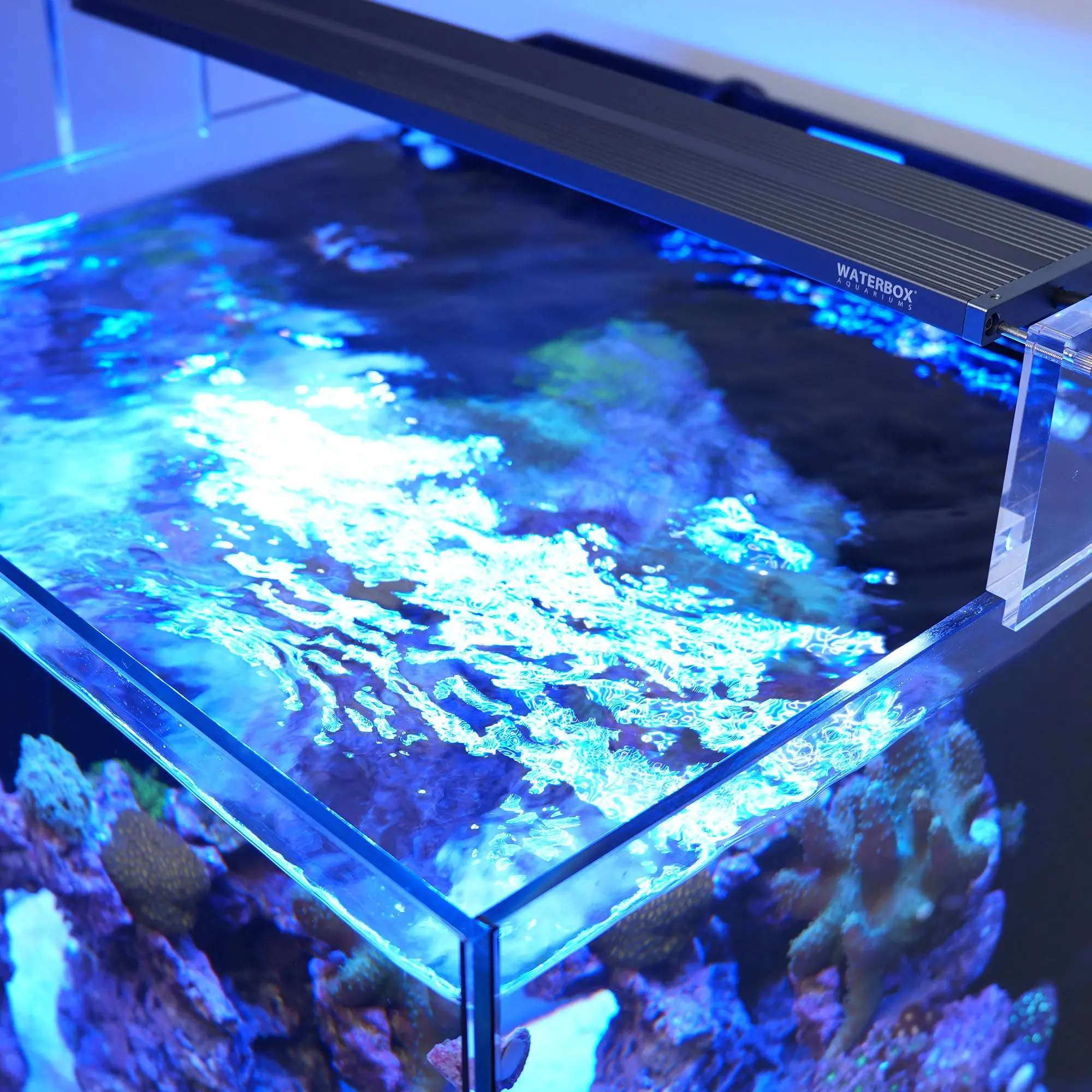 Saltwater LED Lighting System (SLED) - Image 6
